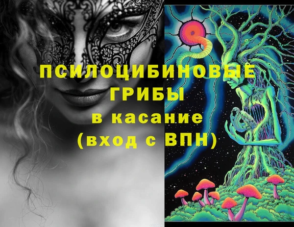 гидропоника Нея