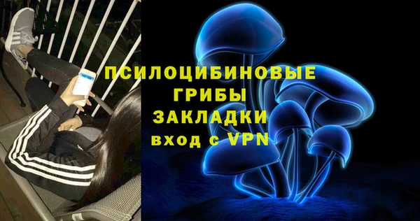 гидропоника Нея