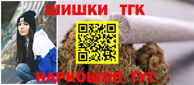 spice Гусев