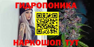 spice Гусев