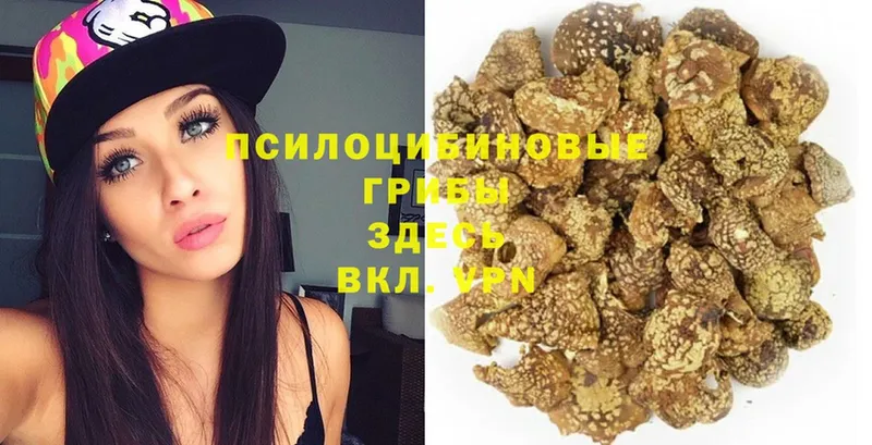 Галлюциногенные грибы Magic Shrooms  дарнет шоп  Кубинка 