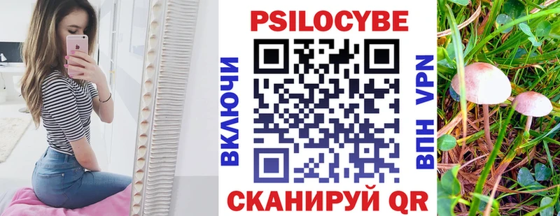 купить  цена  Кубинка  Псилоцибиновые грибы Psilocybine cubensis 