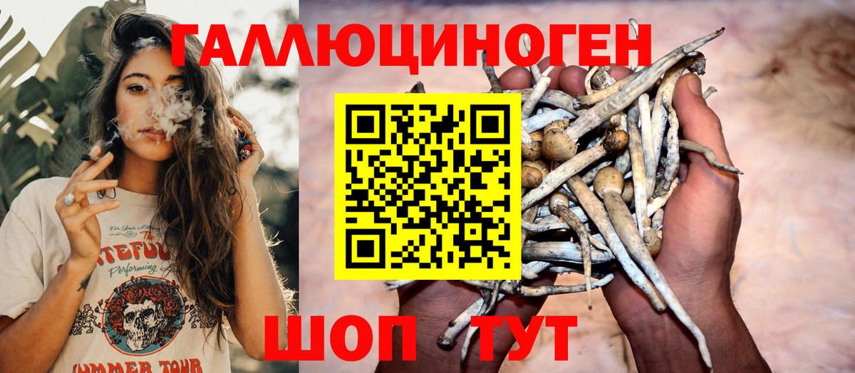 Галлюциногенные грибы мухоморы  Вход с VPN  Галлюциногенные грибы мицелий  Кубинка 