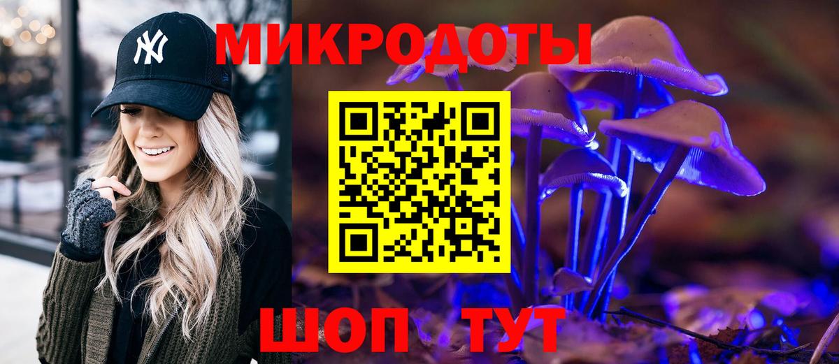Псилоцибиновые грибы мицелий Кубинка